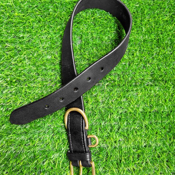 Paul Walter Genuine Leather Dog Collar for Small to Large Dogs - Picture 4 of 9